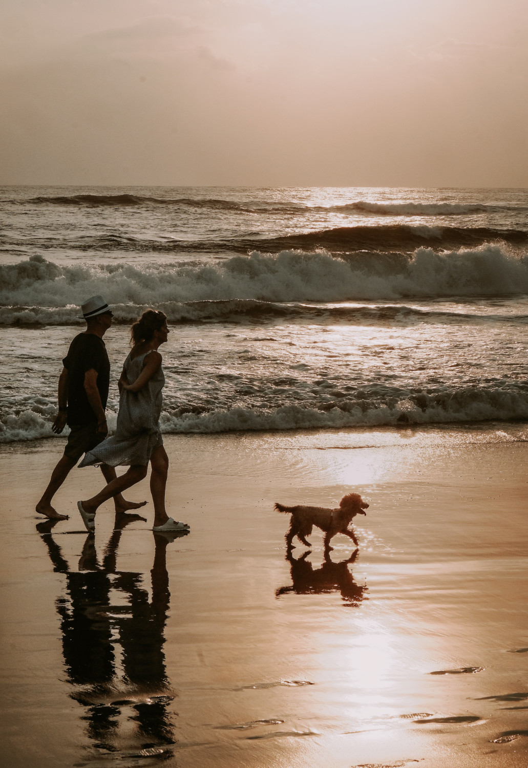 Paws and Paths: Our Favourite Dog-Friendly Walks in East Devon